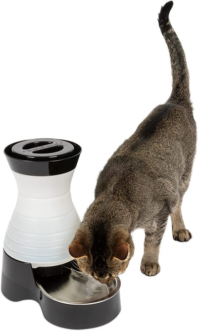 Healthy Pet Water Station - Gravity Pet Water Fountain, Automatic Cat or Dog Water Fountain, Water Dispenser - Removable Stainless Steel Bowl Included