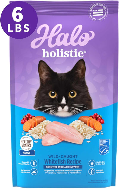 Holistic Cat Food Dry, Wild-Caught Whitefish Recipe for Sensitive Stomach Support, Complete Digestive Health, Dry Cat Food Bag, Sensitive Stomach Formula, 6-Lb Bag
